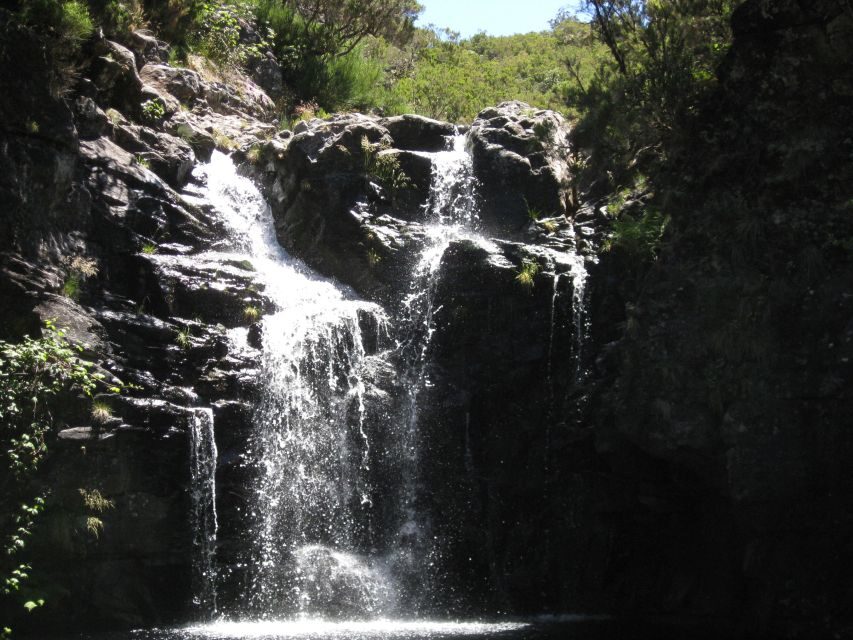 Levada do Alecrim (Madeira Lakes) Full-day walk - Who should book this Madeira hike, and who should skip it