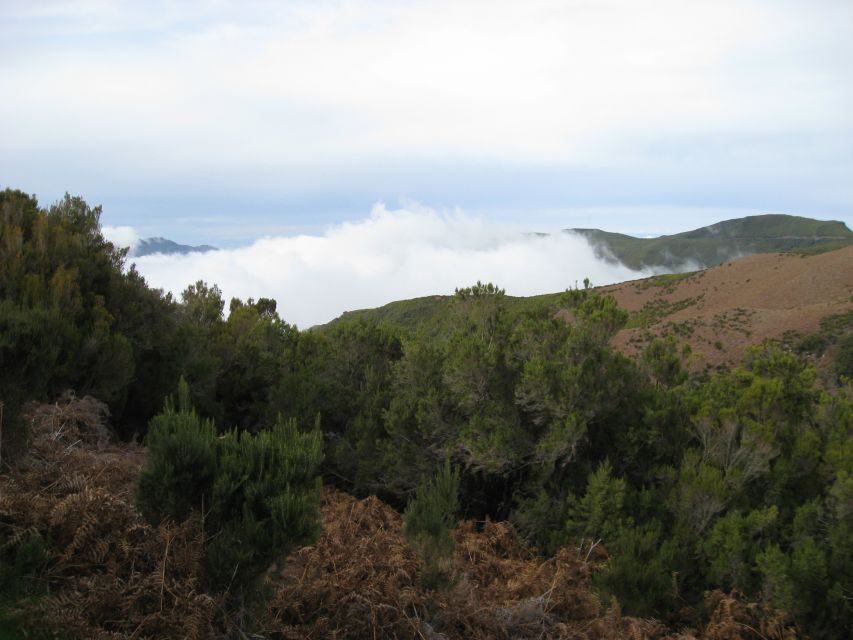 Levada do Alecrim (Madeira Lakes) Full-day walk - The walking rhythm: levada flats, forest roots, and some scrambling