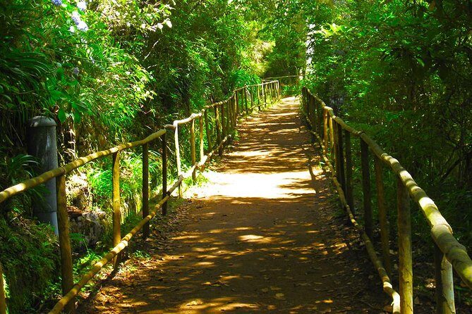 Levada do Caldeirão Verde Levada Walk from Funchal - Key highlights at a glance