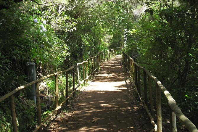 Levada do Caldeirão Verde Levada Walk from Funchal - Levada do Caldeirão Verde: what you’re really walking