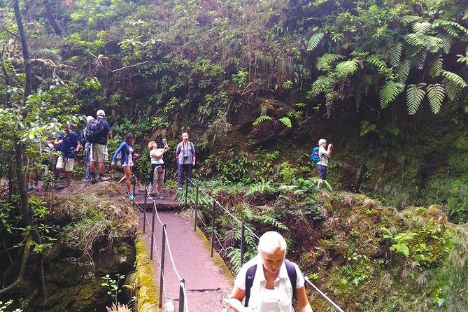 Levada do Caldeirão Verde Levada Walk from Funchal - Tunnels on the route: why your flashlight matters