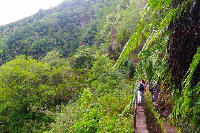 Levada do Caldeirão Verde Levada Walk from Funchal - Price and value: what you get for about $51.66