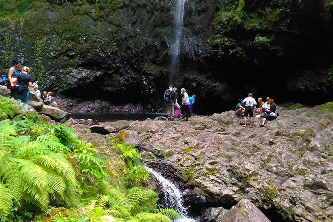 Levada do Caldeirão Verde Levada Walk from Funchal - The levada trail: water everywhere, forests, and big mountain views