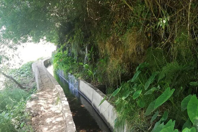 Levada Serra D´Agua - Getting There: 8:45 Pickup and the Van Ride to the Start