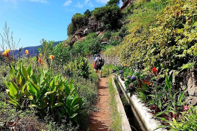 Levada Serra D´Agua - Into the Eucalyptus Forest: How the Guide Keeps You Oriented