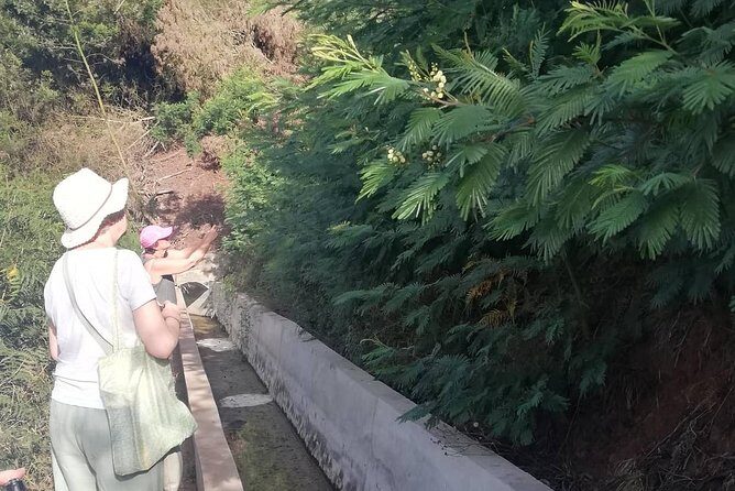Levada Serra D´Agua - Photos and Sea Views: Getting the Best Shots Without Making It a Stress Test
