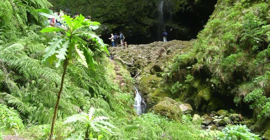 Levada Walk and Caldeirao Verde Waterfalls: Madeira - Getting started at Queimadas Forestal Park: how the day kicks off
