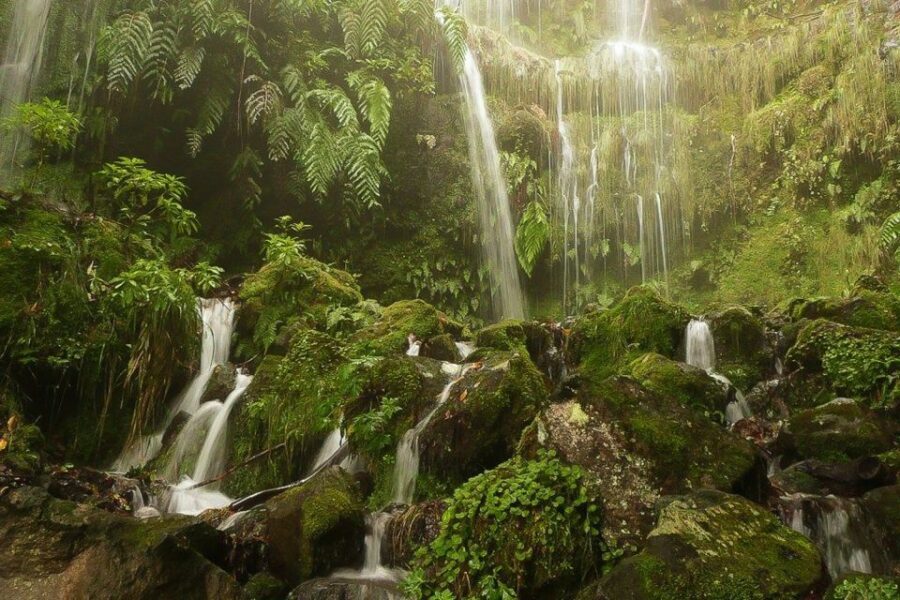 Levada Walk and Caldeirao Verde Waterfalls: Madeira - When the path gets serious: tunnels, narrow sections, and mind-your-head mode