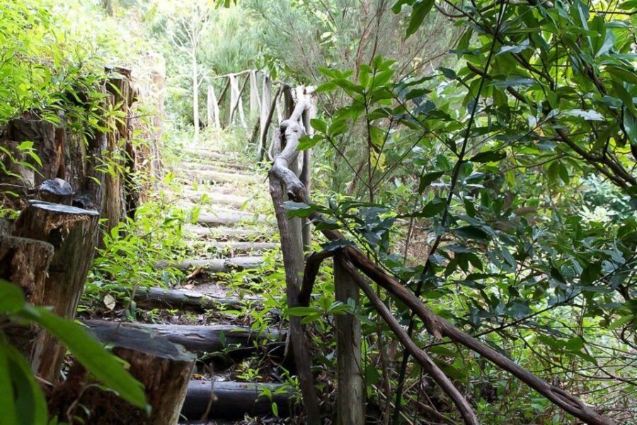 Levada Walk and Caldeirao Verde Waterfalls: Madeira - Going back the same way: why that matters for timing and energy