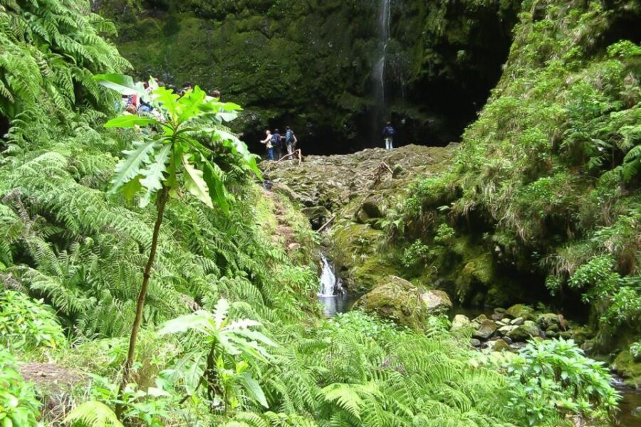 Levada Walk and Caldeirao Verde Waterfalls: Madeira - The 4.5-hour levada walk: why it feels different from a normal hike