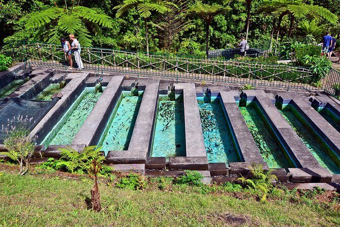 Levada Walk from Ribeiro Frio to Portela - The walking rhythm: group pace, picnic reality, and comfort