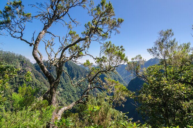 Levada Walk from Ribeiro Frio to Portela - Weather changes in Madeira: how to stay ready