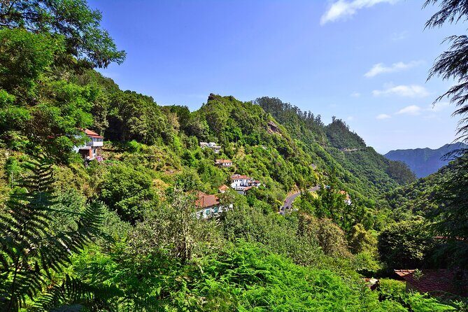 Levada Walk from Ribeiro Frio to Portela - Who this hike suits best (and who should think twice)