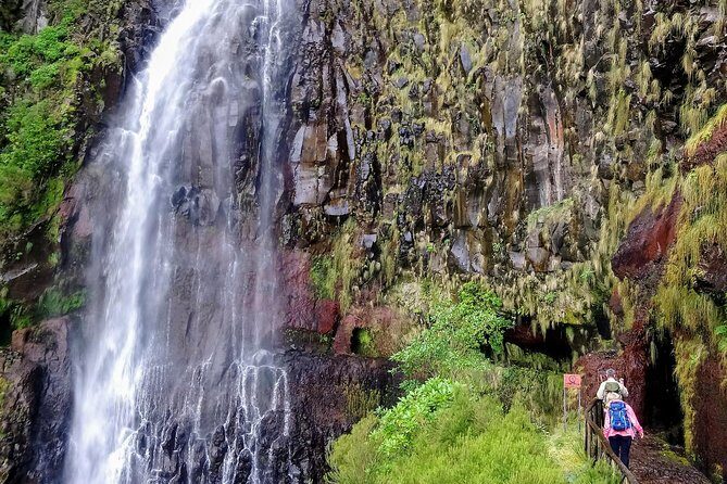 Levada & Waterfalls Hike 25 Fountains, Rabaçal, Risco more Challenging Walk - Stop 2: Levada do Alecrim and the heart of the Madeira walking experience