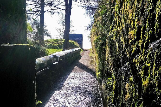 Levada & Waterfalls Hike 25 Fountains, Rabaçal, Risco more Challenging Walk - Price and fees: what you’re really paying for