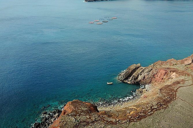 Lighthouse View 2 - Boat Tour Ponta São Lourenço - The peninsula’s natural reserve feel: birds, sea life, and protected waters
