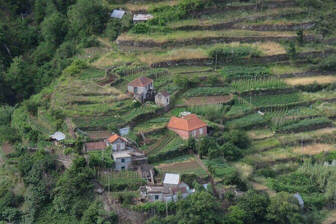 Local Farmers Market and 4WD Experience from Funchal - The Santo da Serra Farmers Market: Food, Drink, and People Who Live Here
