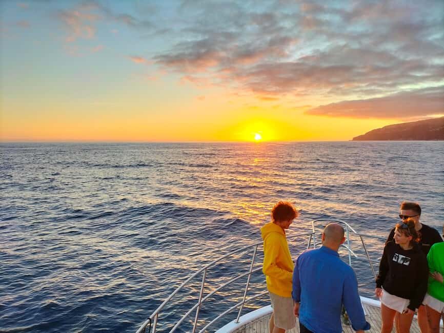 Madeeira: Sunset dinner cruise - Price and Value: What You’re Really Paying For at $63
