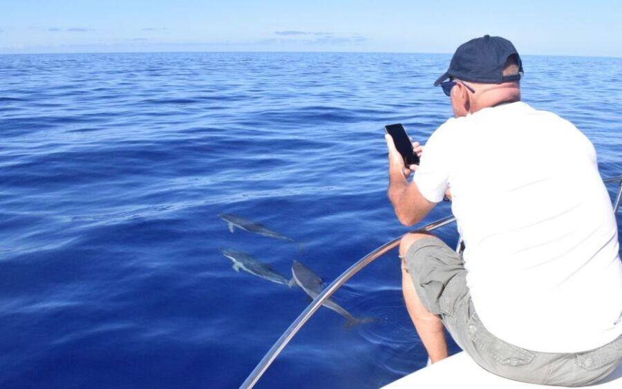Madeira: 2.5-Hour Whale and Dolphin-Watching Cruise - Who this tour is perfect for (and who should reconsider)