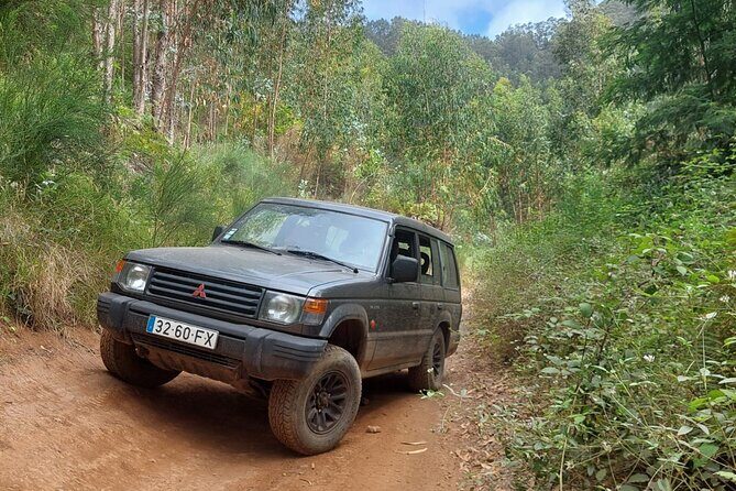 Madeira 4x4 Jeep Safari : Porto Moniz, Lava Pools & Fanal Forest - Câmara de Lobos first: Miradouro do Pico da Torre and an off-road kickstart