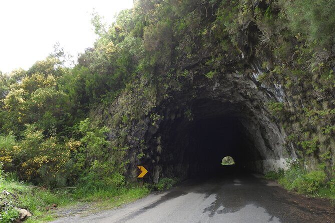 Madeira 4x4 Jeep Safari : Porto Moniz, Lava Pools & Fanal Forest - Ribeira Brava and Ponta do Sol: coast towns, banana country, and a needed coffee break