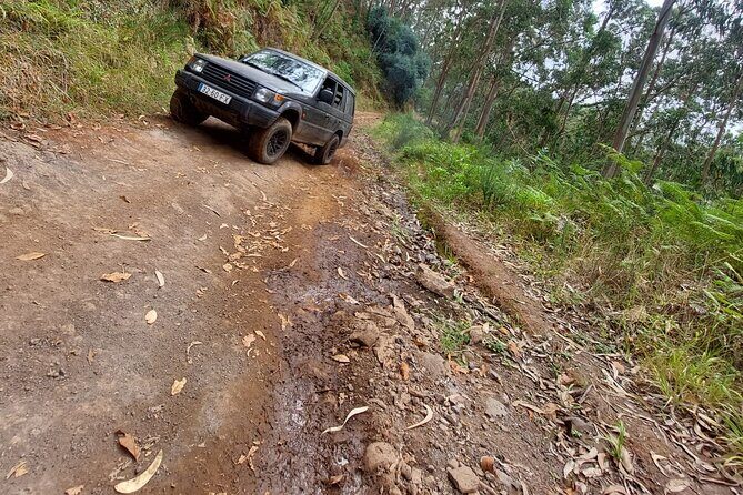 Madeira 4x4 Jeep Safari : Porto Moniz, Lava Pools & Fanal Forest - Ribeira da Janela: the cave-path viewpoint stop you’ll remember