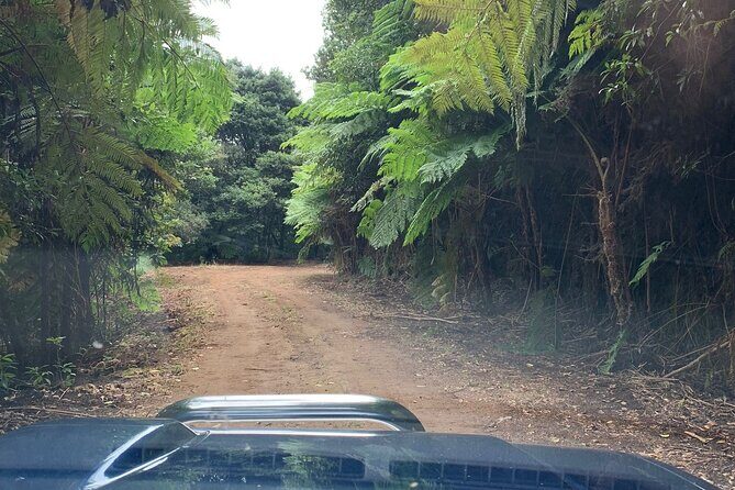 Madeira 4x4 Jeep Tour : Pico Arieiro & Santana Traditional Houses - Price and value: what $66.08 gets you for a long day