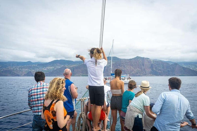 Madeira : 5 hour East Coast boat excursion - Getting There: Pier 8, the Bonita da Madeira Kiosk, and How Not to Waste Time