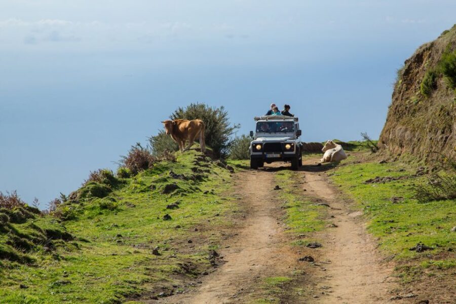Madeira: Amazing West - Porto Moniz - Serra d’Água valley viewpoints and the return toward the south-coast feel