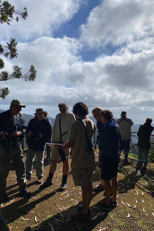 Madeira: Birdwatching - The Endemics - São Lourenço Peninsula: Where Endemic Chances Feel Most Focused