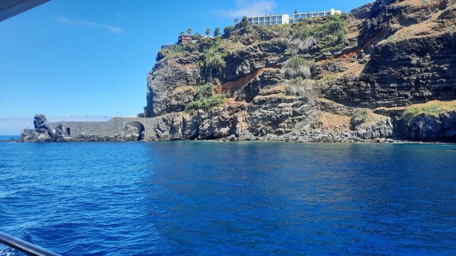 Madeira: Boat Trip with Lunch, Drinks, and Hotel Transfer - Snorkeling gear provided, plus a good chance to spot marine life