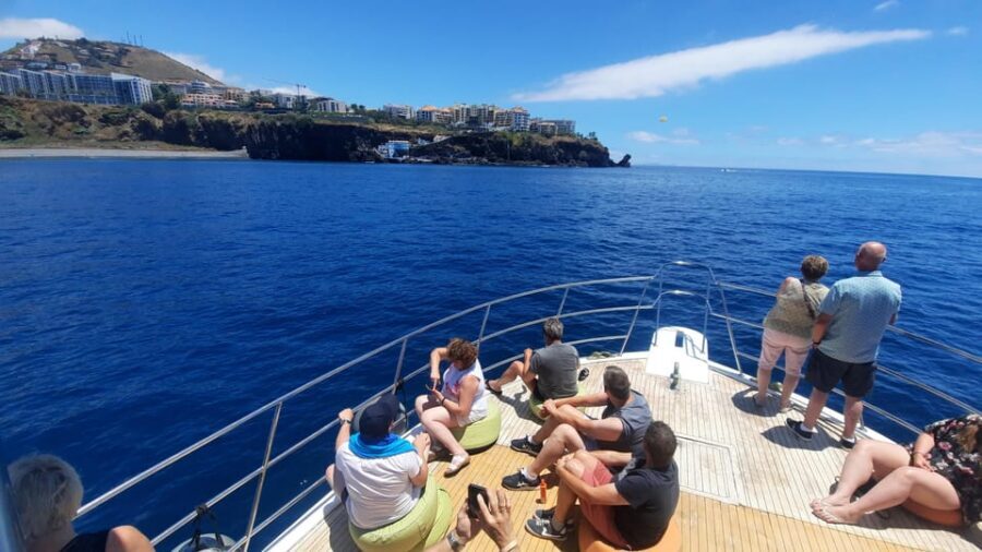 Madeira: Boat Trip with Lunch, Drinks, and Hotel Transfer - Buffet lunch onboard: local food, real portions, and no waiting around