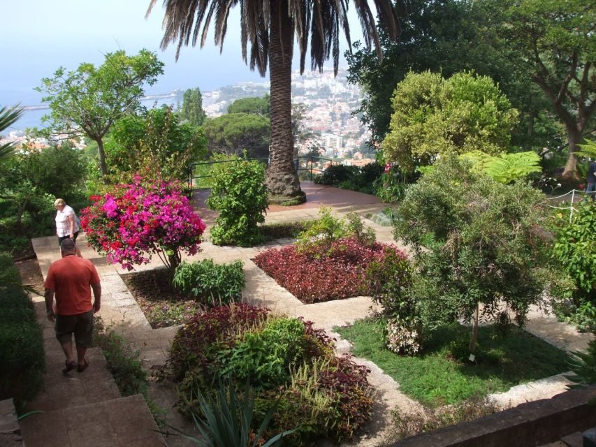 Madeira: Botanical Garden in a Tuk-Tuk Tour - Key things to know before you go