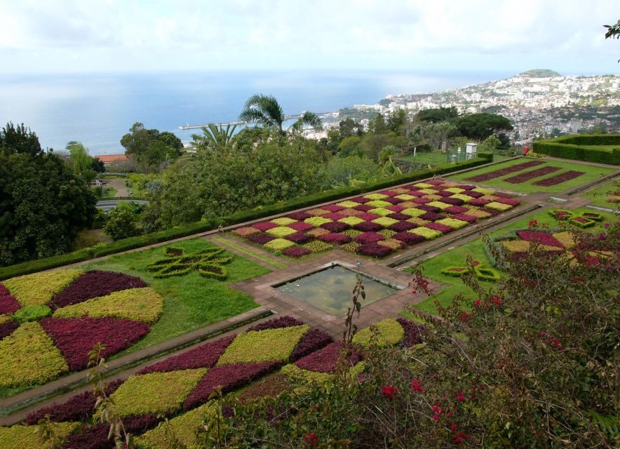 Madeira: Botanical Garden in a Tuk-Tuk Tour - Inside the Botanical Garden: how to use your 1-hour visit well