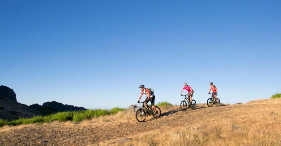 Madeira Botanical Levels Bike Tour – Scenic Trail Experience - Starting at Poiso: The Skills Check and the Two Possible Ways Forward