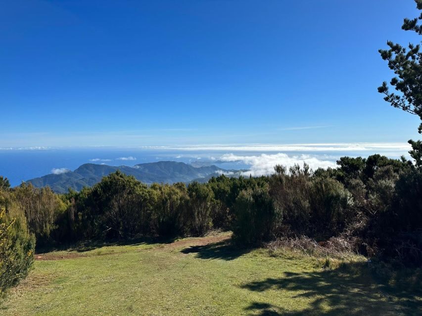 Madeira Botanical Levels Bike Tour – Scenic Trail Experience - Who This Madeira Ride Is For (and Who Should Think Twice)