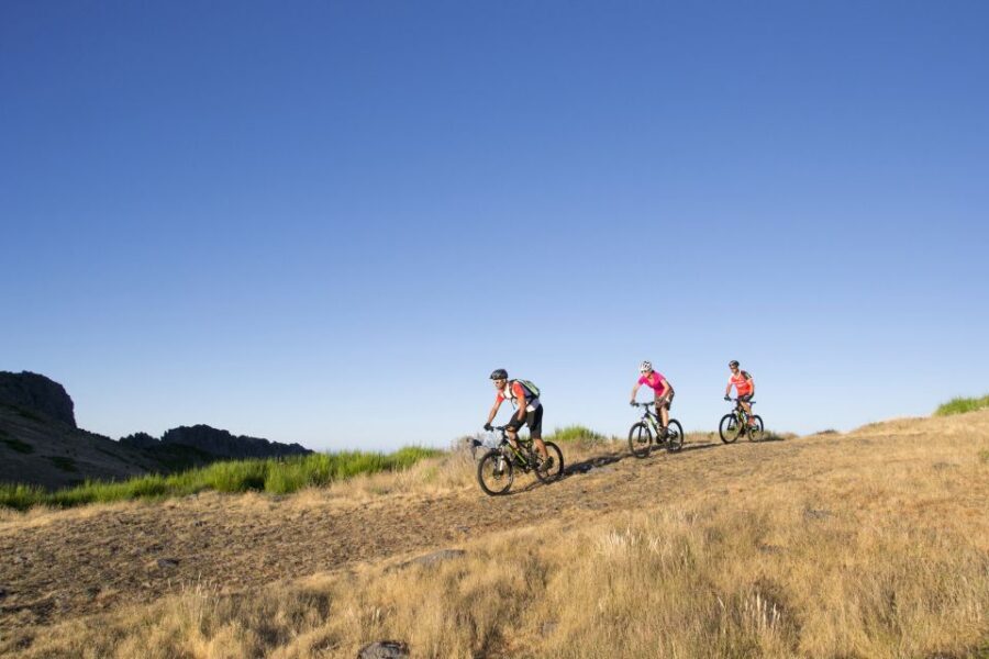 Madeira Botanical Levels Bike Tour – Scenic Trail Experience - Your Bike Setup and What It Means on Madeira Trails