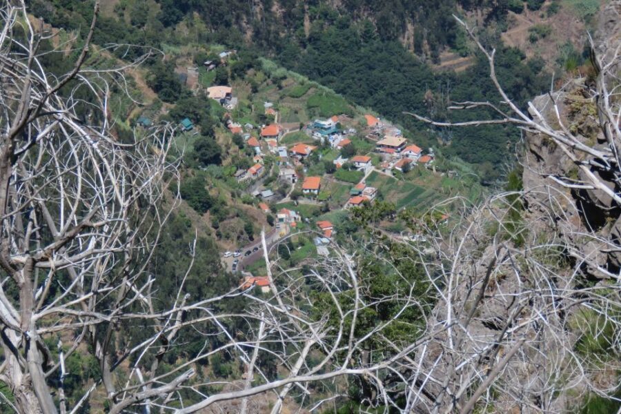 Madeira : Cabo Girao and Camara de Lobo 4WD half-day Tour - Price and value: $58 for transport, guidance, and the tough-driving part