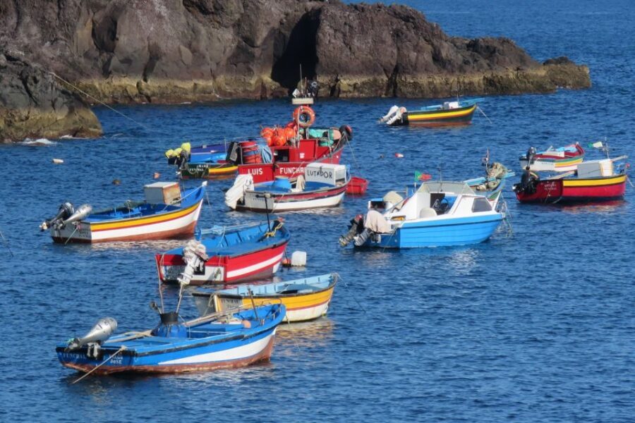 Madeira : Cabo Girao and Camara de Lobo 4WD half-day Tour - Who should book this 4WD half-day tour (and who shouldn’t)