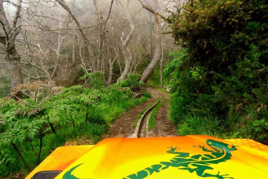 Madeira : Cabo Girao and Camara de Lobo 4WD half-day Tour - Should you book? My honest take