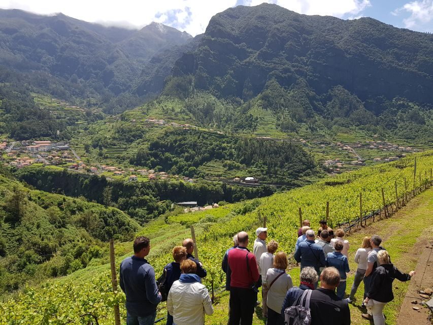 Madeira: Cabo Girão, Wines Experience and Dolphins Watching - Marina break in Funchal: reset before the boat