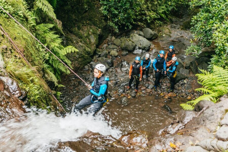 Madeira Canyoning Beginners – Easy & Fun Waterfall Adventure - What makes Madeira “level 1” canyoning a smart pick