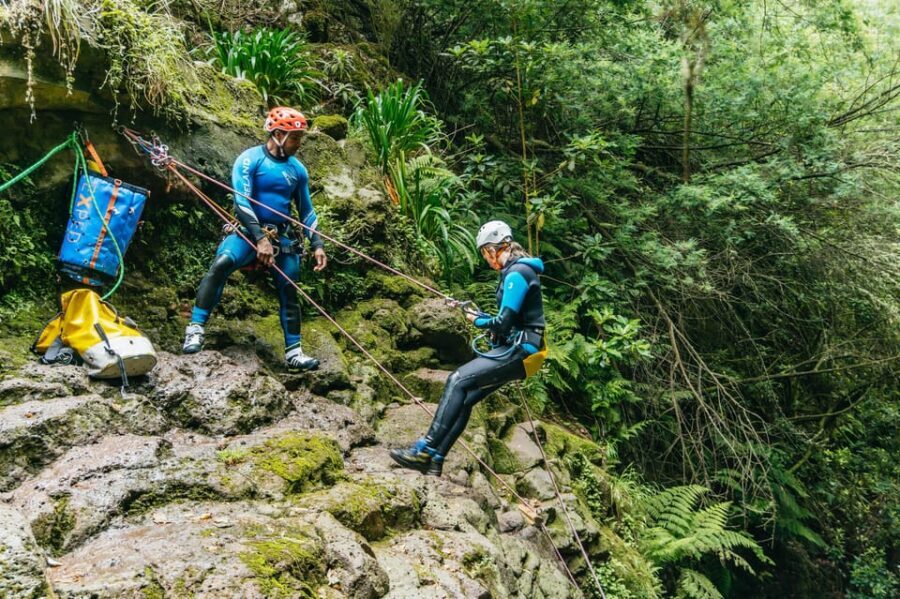 Madeira Canyoning Beginners – Easy & Fun Waterfall Adventure - The canyon setting: misty trees, endemic plants, and a terrace finish