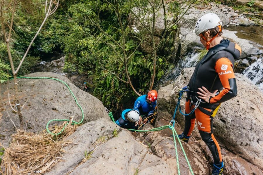 Madeira Canyoning Beginners – Easy & Fun Waterfall Adventure - Price and value: what $63 buys you on Madeira