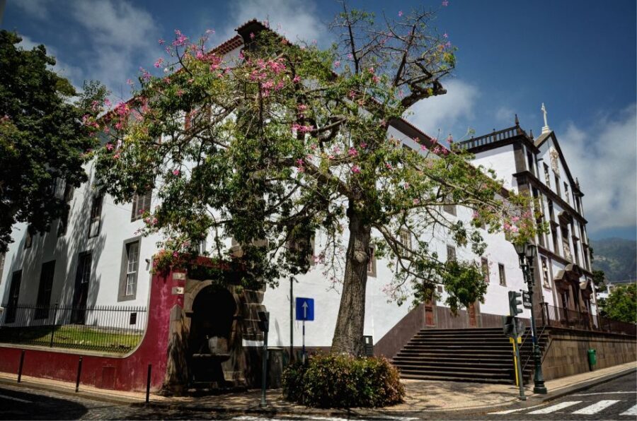 Madeira: Customized 3, 4 or 6-Hour Tour - Paredão and Nuns Valley: short stops that add real atmosphere