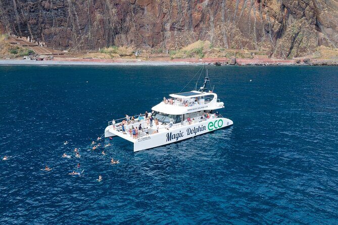 Madeira Dolphin and Whale Watching on a Ecological Catamaran - Key Bits You Should Know Before You Go