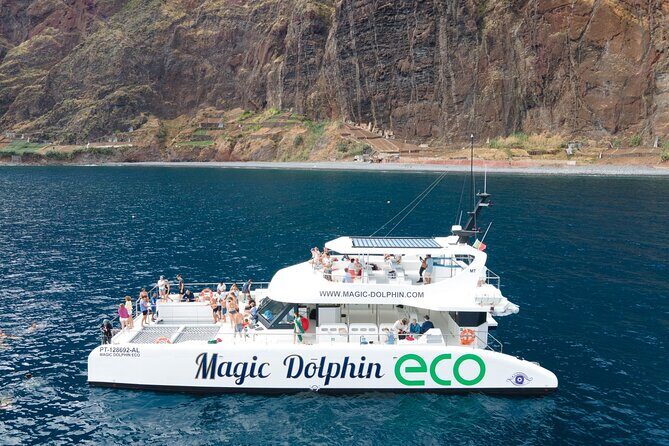 Madeira Dolphin and Whale Watching on a Ecological Catamaran - The 3-Hour Rhythm: How the Cruise Plays Out in Real Life