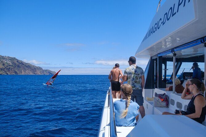 Madeira Dolphin and Whale Watching on a Ecological Catamaran - Cabo Girão, Câmara de Lobos, and Reid’s Hotel From Sea Level