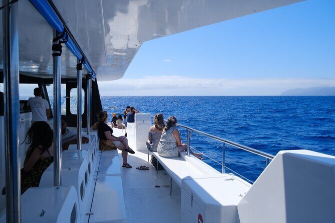 Madeira Dolphin and Whale Watching on a Ecological Catamaran - Who Should Book This Dolphin and Whale Cruise (and Who Might Rethink It)