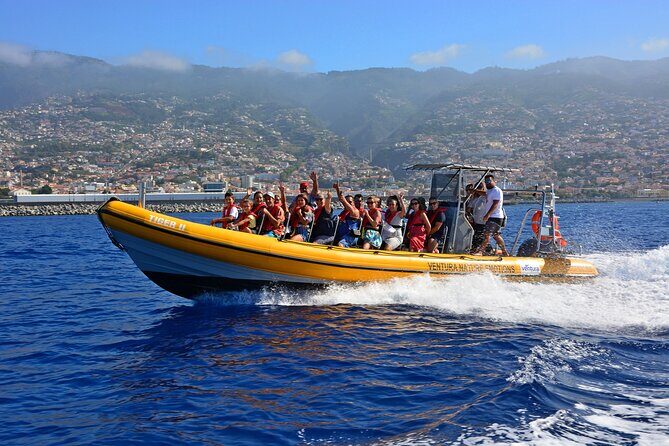 Madeira Dolphin & Whale Watching Tour - Key Highlights That Make This Tour Work